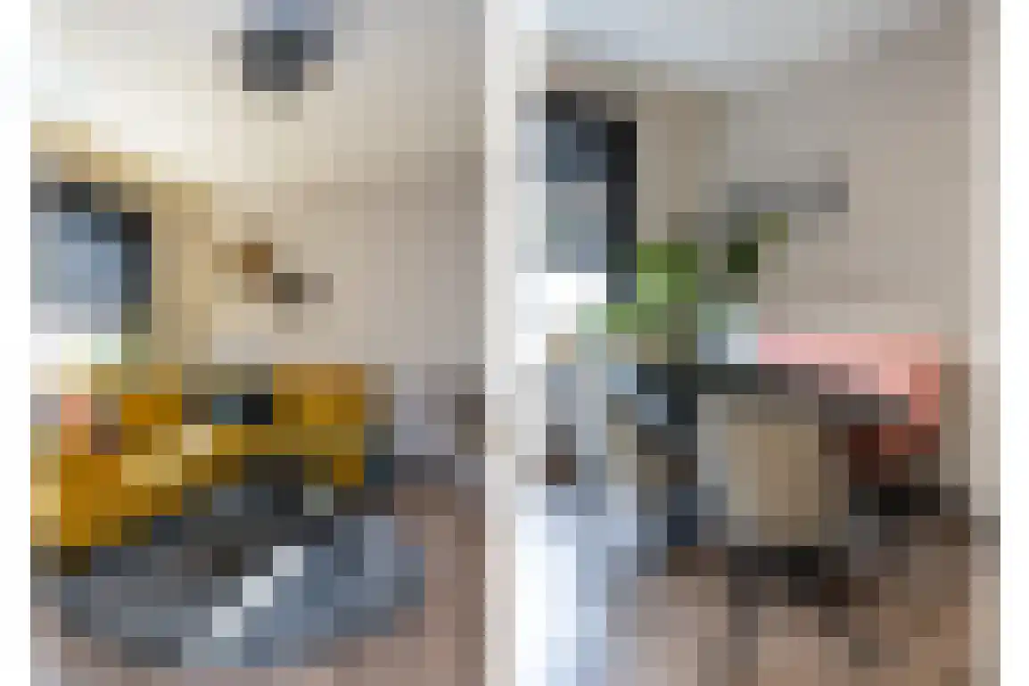 Dirk Bosstraat 23 Middelharnis thumbnail 12