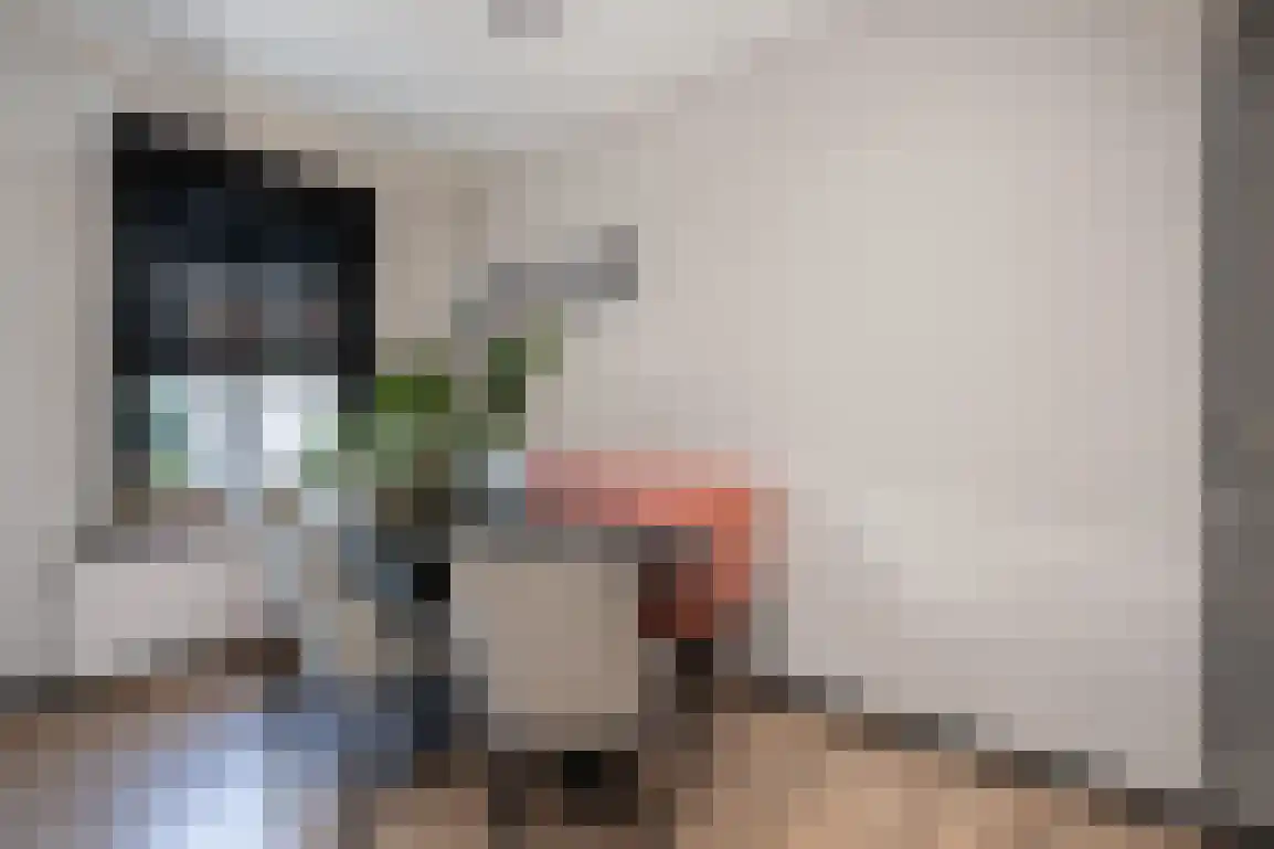 Dirk Bosstraat 23 Middelharnis thumbnail 14