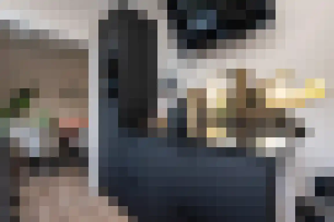 Dirk Bosstraat 23 Middelharnis thumbnail 15