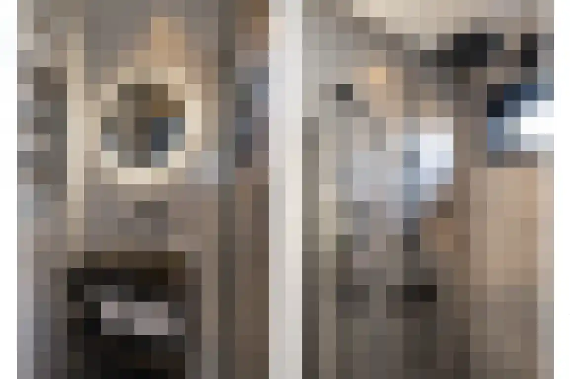 Dirk Bosstraat 23 Middelharnis thumbnail 20