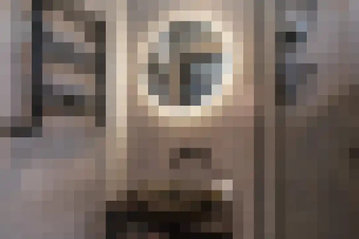 Dirk Bosstraat 23 Middelharnis thumbnail 21
