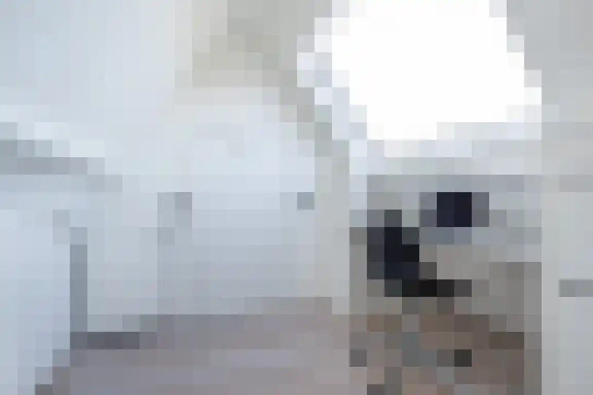 Dirk Bosstraat 23 Middelharnis thumbnail 30