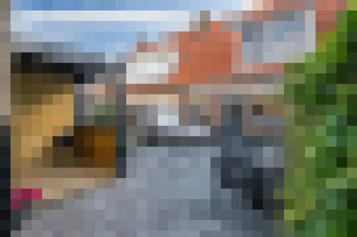 Dirk Bosstraat 23 Middelharnis thumbnail 33