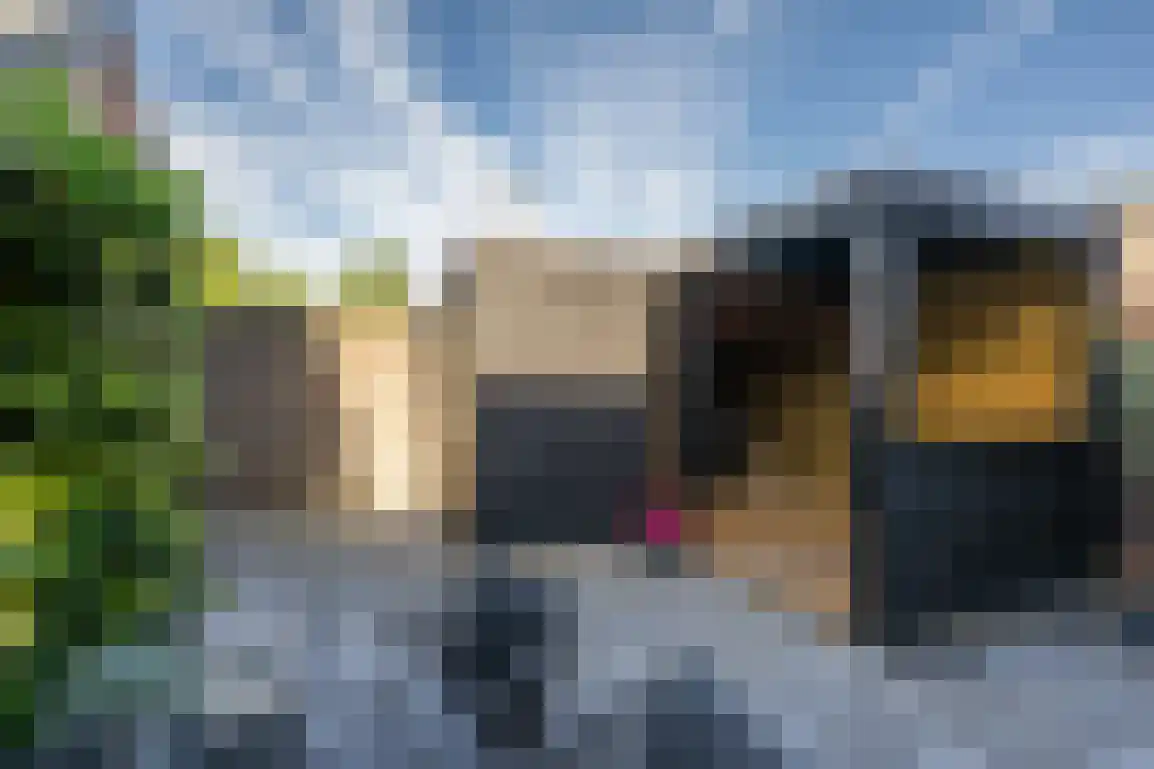 Dirk Bosstraat 23 Middelharnis thumbnail 38