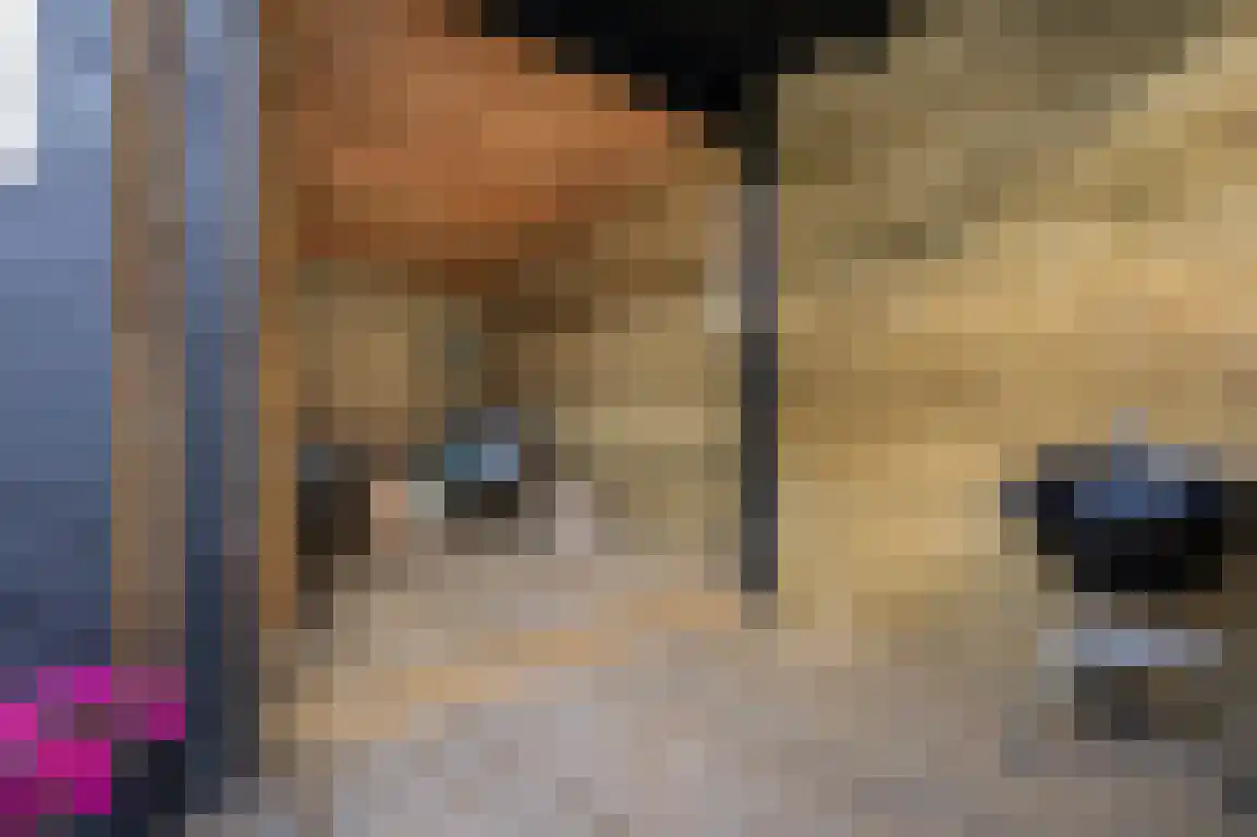Dirk Bosstraat 23 Middelharnis thumbnail 39