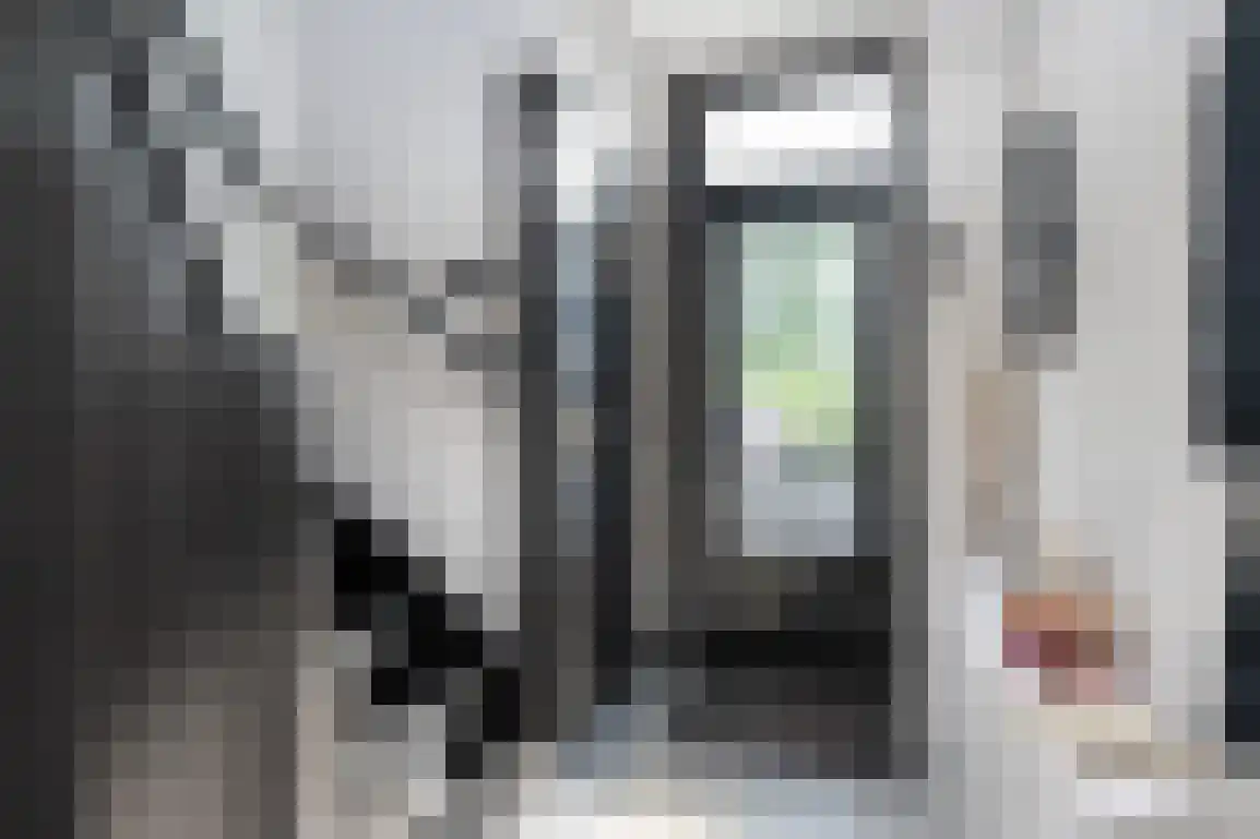 Dirk Bosstraat 23 Middelharnis thumbnail 6