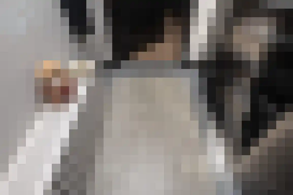 Dirk Bosstraat 23 Middelharnis thumbnail 8