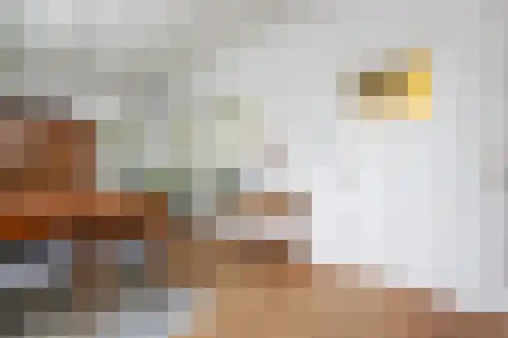 Dirk Bosstraat 31 Middelharnis thumbnail 10