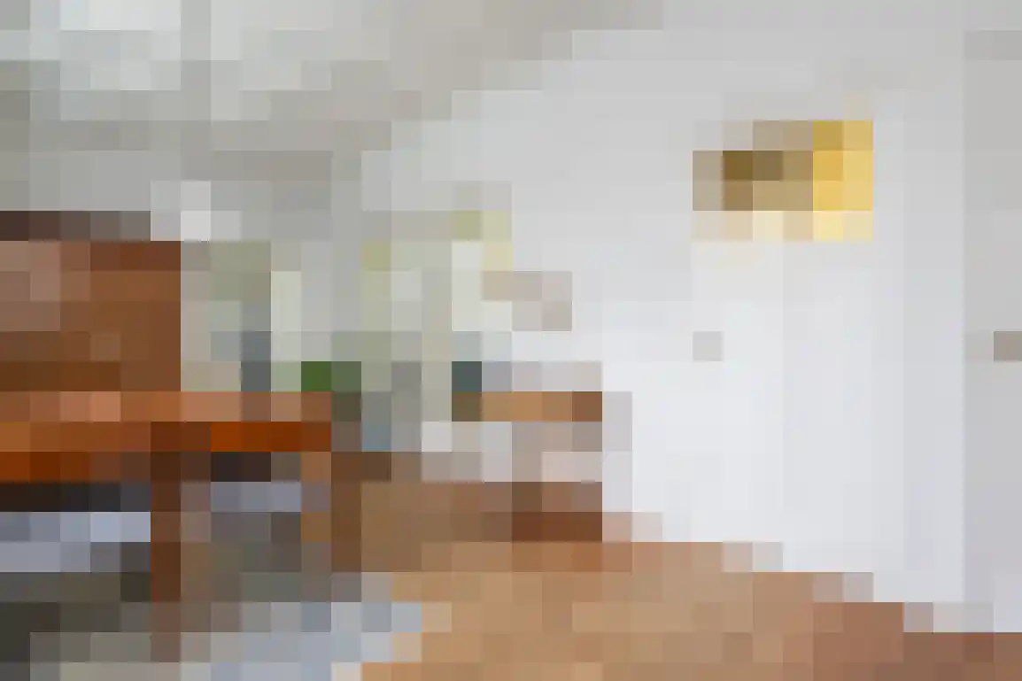 Dirk Bosstraat 31 Middelharnis thumbnail 10