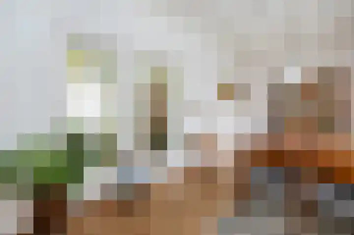 Dirk Bosstraat 31 Middelharnis thumbnail 11