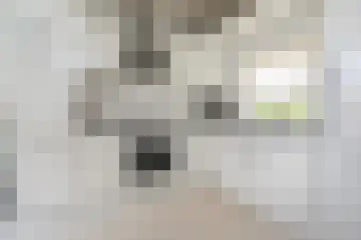 Dirk Bosstraat 31 Middelharnis thumbnail 19