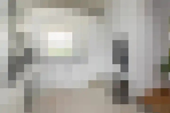 Dirk Bosstraat 31 Middelharnis thumbnail 20