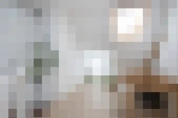 Dirk Bosstraat 31 Middelharnis thumbnail 21