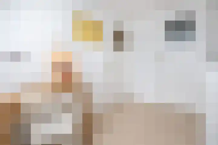 Dirk Bosstraat 31 Middelharnis thumbnail 22