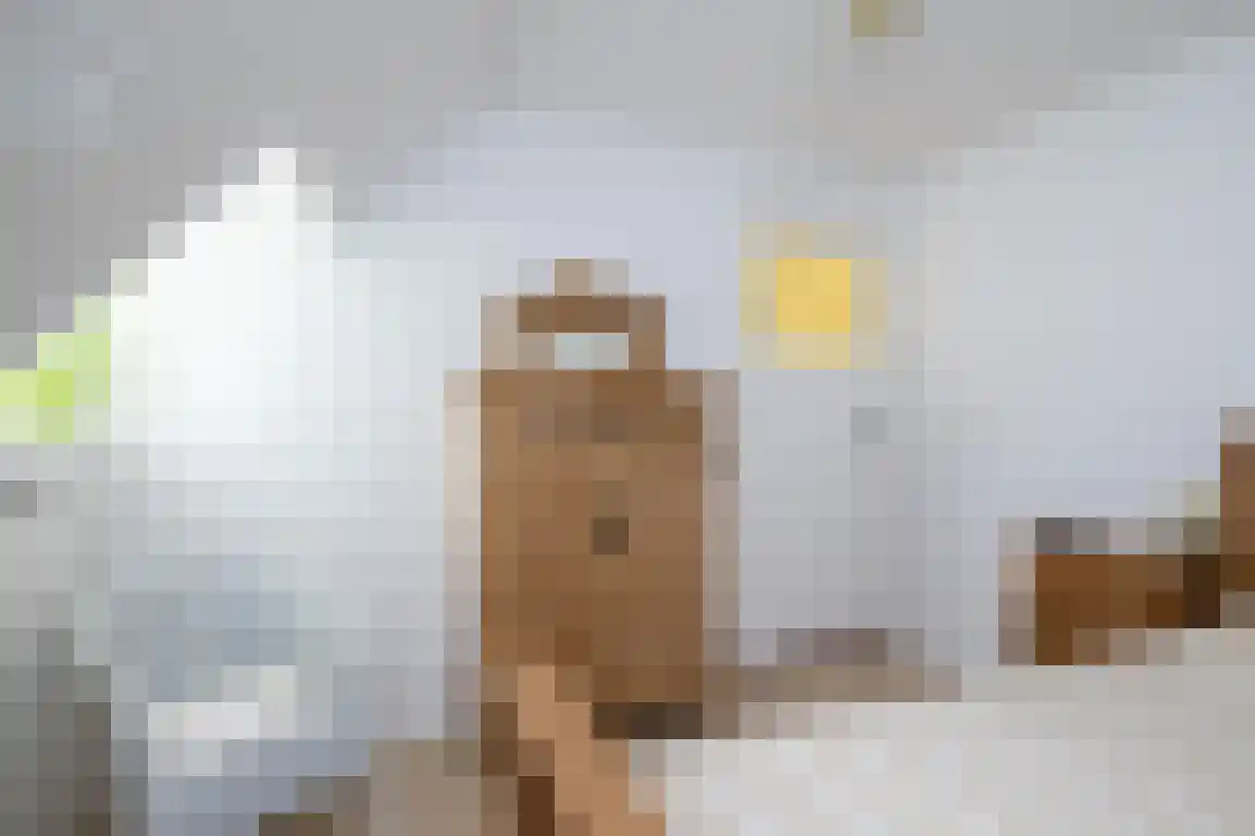 Dirk Bosstraat 31 Middelharnis thumbnail 28