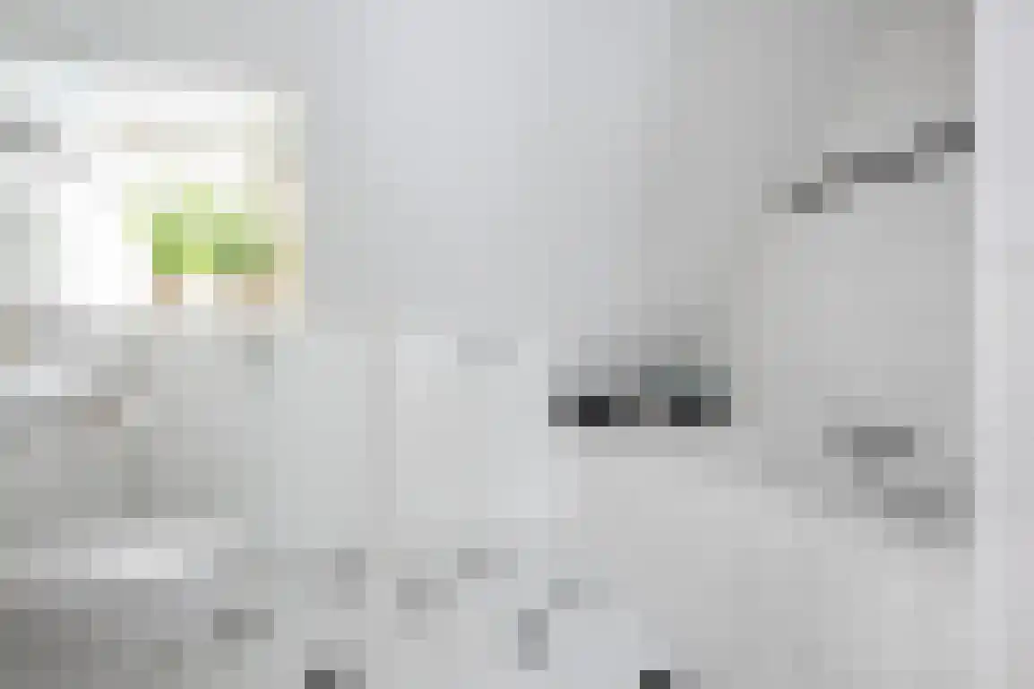 Dirk Bosstraat 31 Middelharnis thumbnail 30