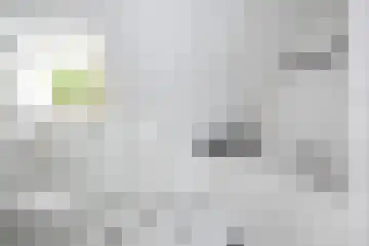 Dirk Bosstraat 31 Middelharnis thumbnail 30