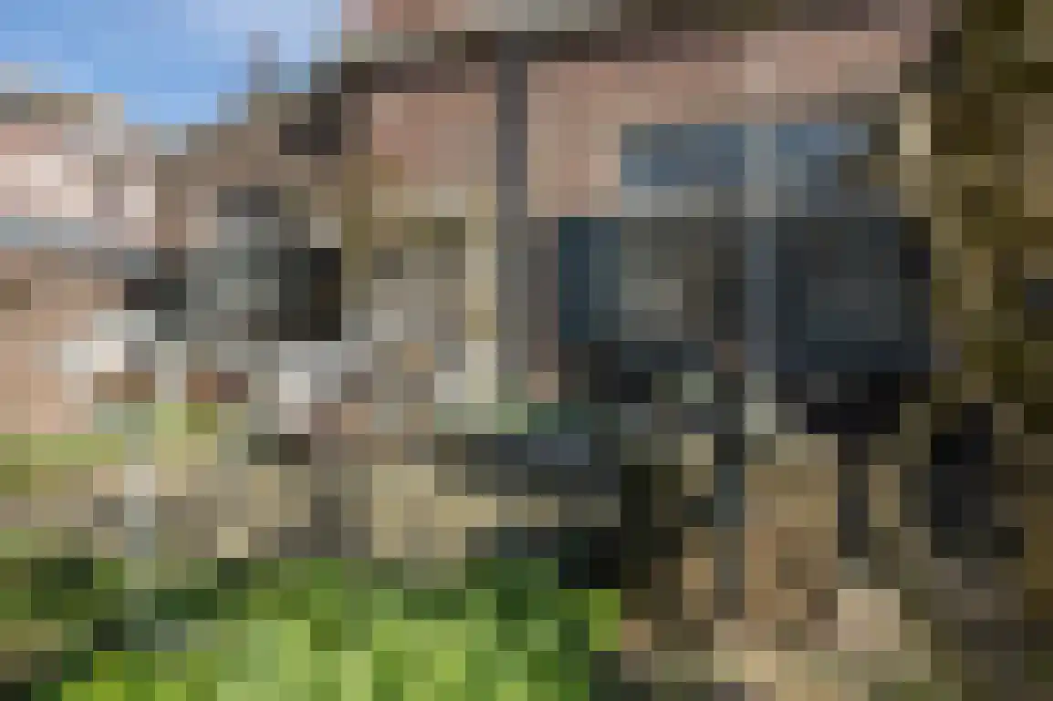 Dirk Bosstraat 31 Middelharnis thumbnail 32