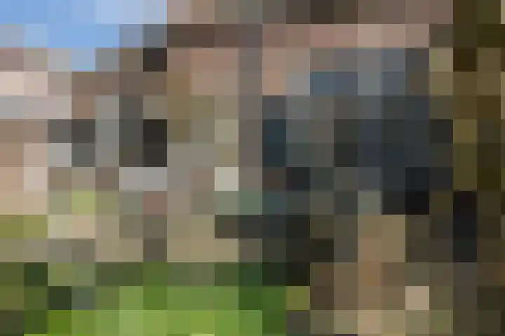 Dirk Bosstraat 31 Middelharnis thumbnail 32