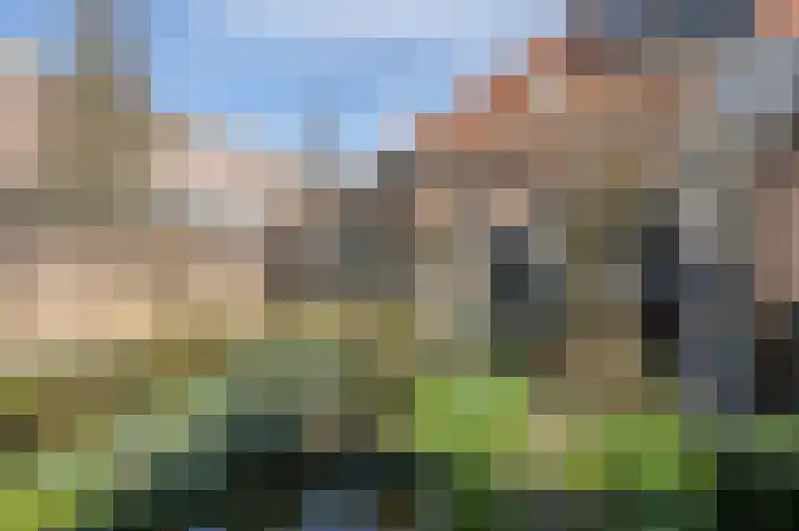 Dirk Bosstraat 31 Middelharnis thumbnail 33