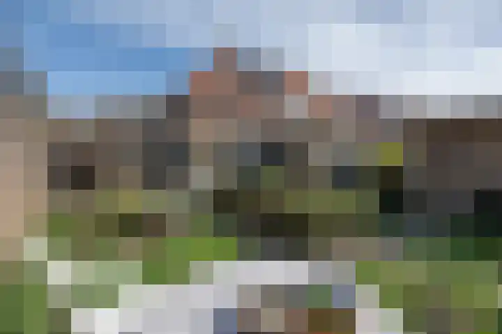 Dirk Bosstraat 31 Middelharnis thumbnail 34