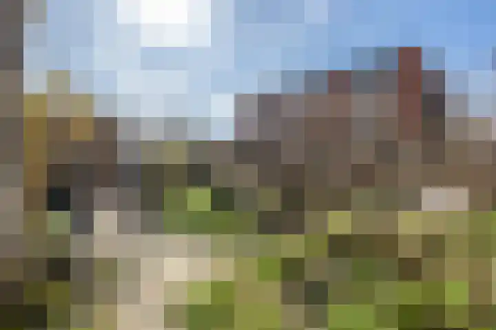 Dirk Bosstraat 31 Middelharnis thumbnail 35