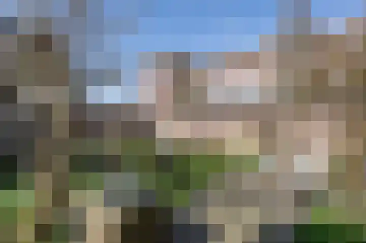 Dirk Bosstraat 31 Middelharnis thumbnail 36