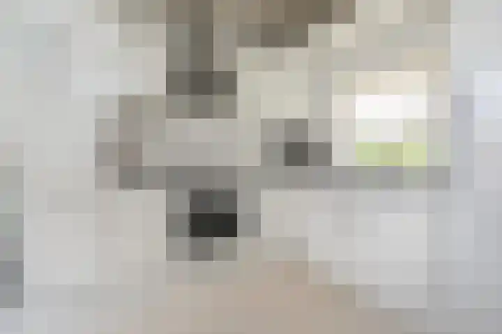 Dirk Bosstraat 31 Middelharnis thumbnail 4