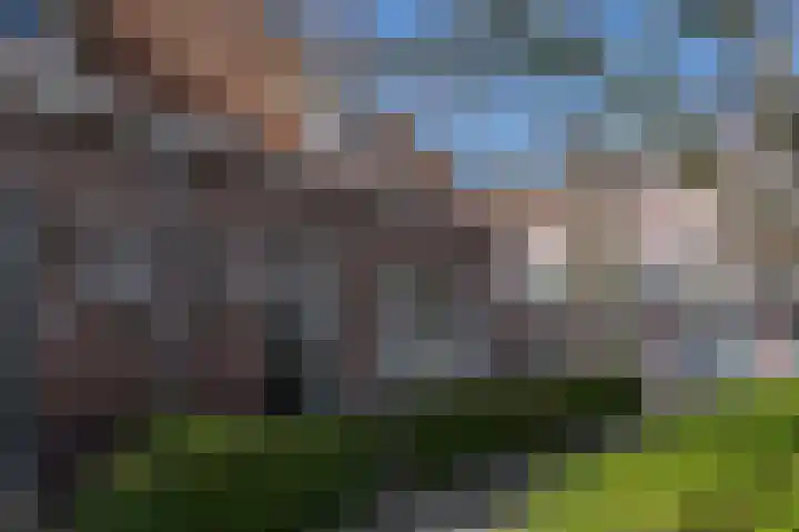 Dirk Bosstraat 31 Middelharnis thumbnail 5