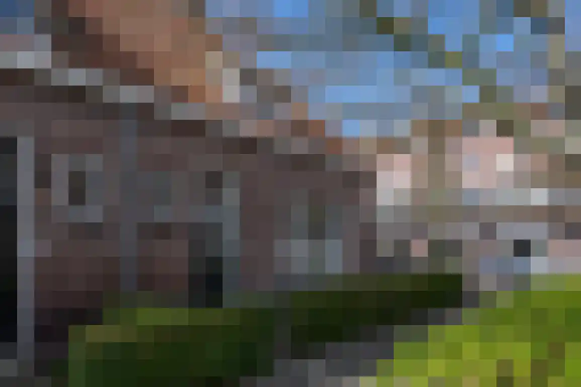 Dirk Bosstraat 31 Middelharnis thumbnail 5