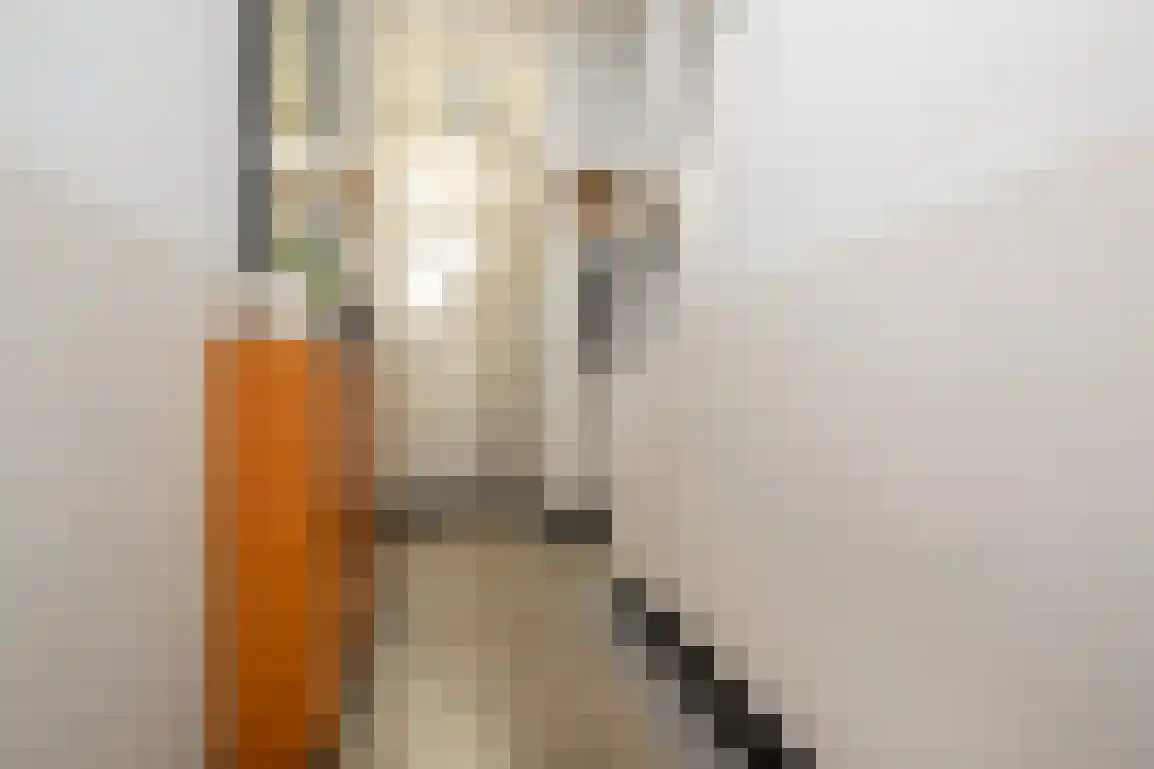Dirk Bosstraat 31 Middelharnis thumbnail 7