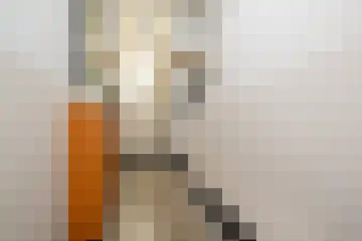 Dirk Bosstraat 31 Middelharnis thumbnail 7