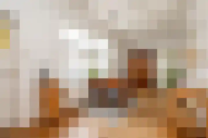 Dirk Bosstraat 31 Middelharnis thumbnail 9
