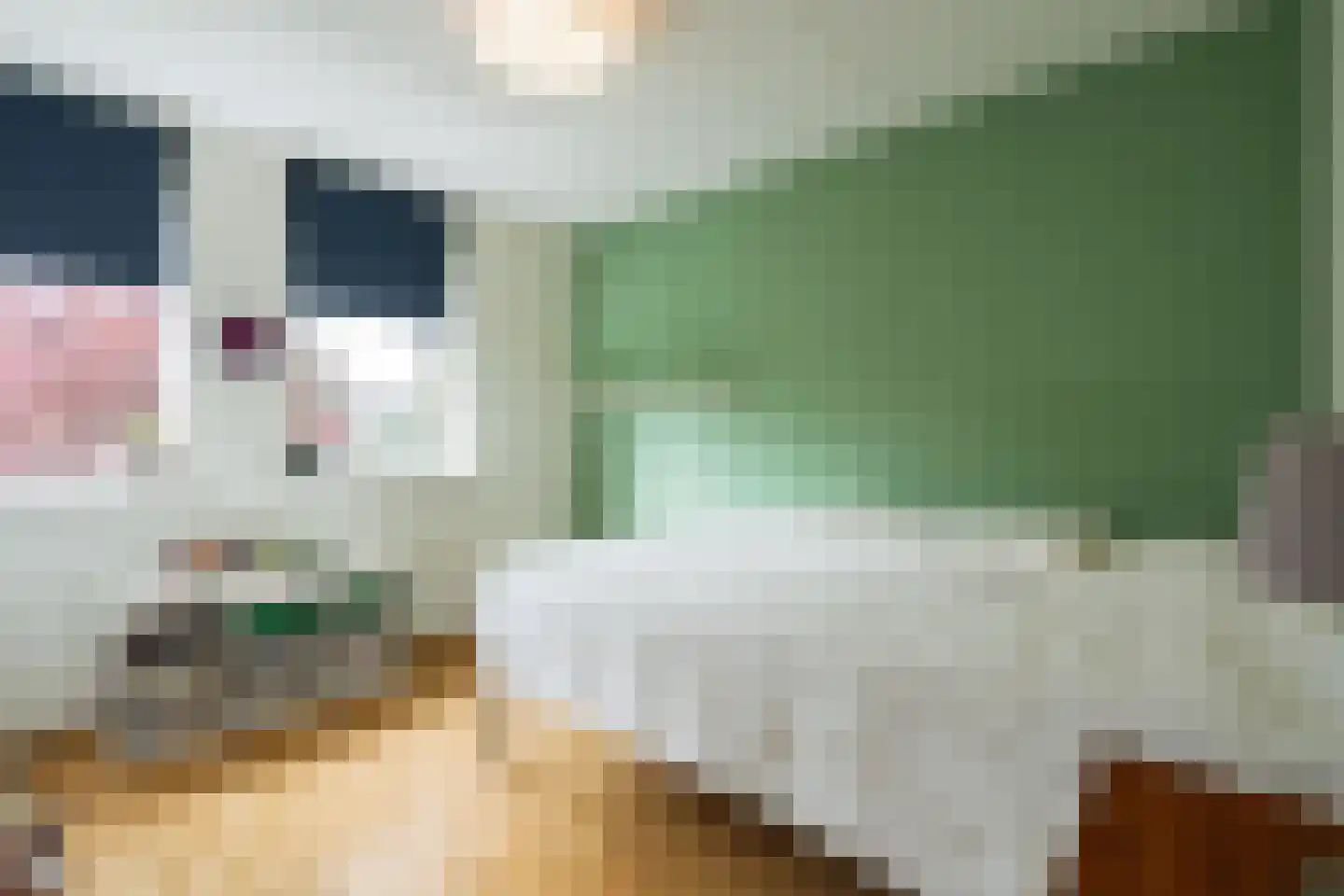 Dirk Boutslaan 14 Bilthoven thumbnail 13