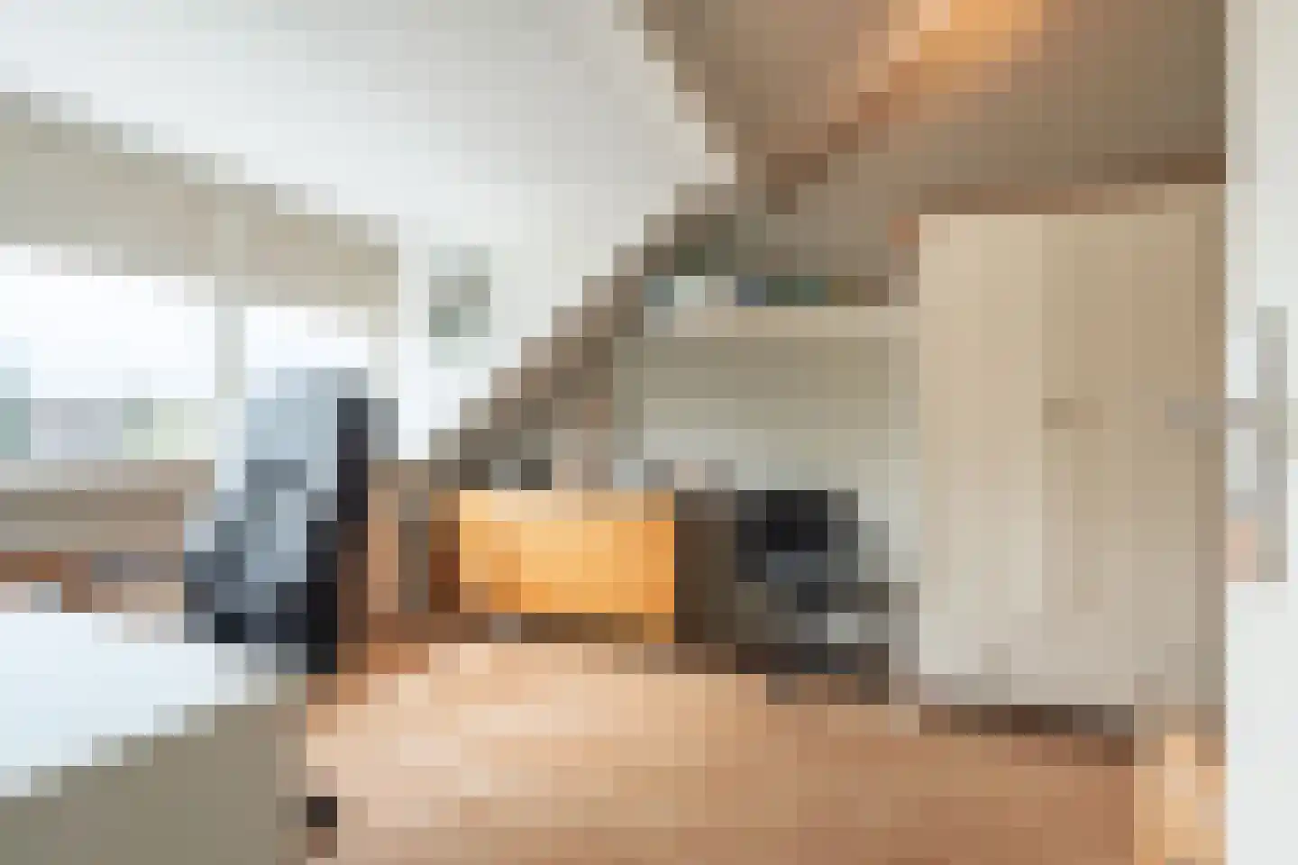 Dirk Boutslaan 14 Bilthoven thumbnail 16
