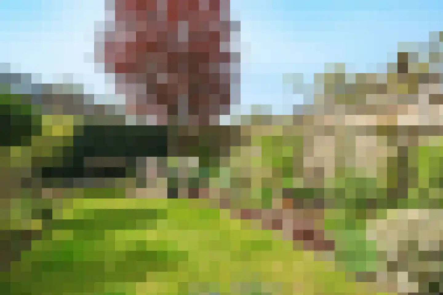 Dirk Boutslaan 14 Bilthoven thumbnail 20