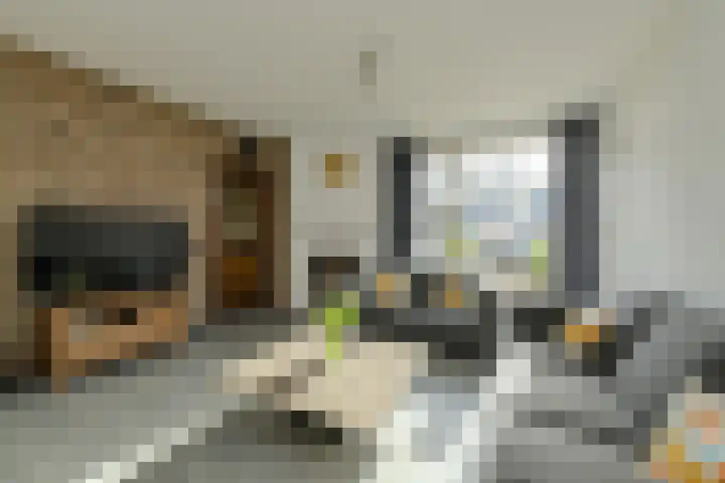 Dirk Boutslaan 18 Oosterhout thumbnail 5