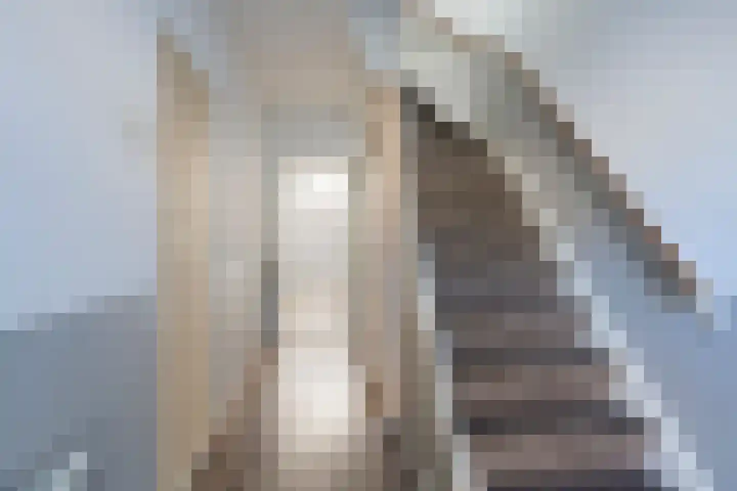 Dirk Boutsstraat 21 Leeuwarden thumbnail 12