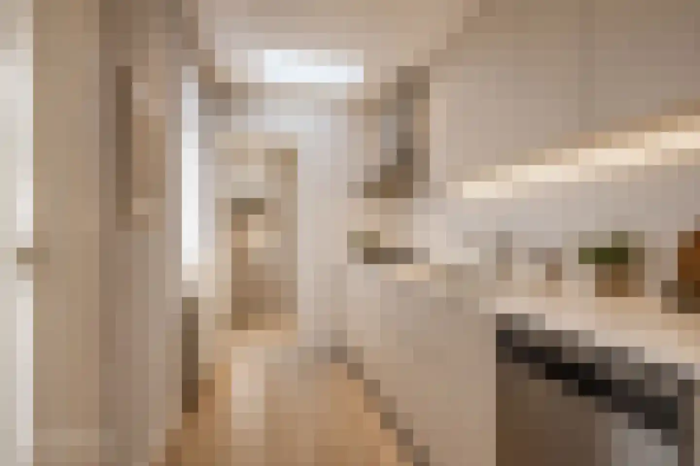 Dirk Boutsstraat 21 Leeuwarden thumbnail 9