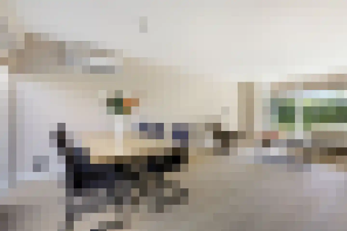 Dirk Boutsstraat 8 Zevenaar thumbnail 18