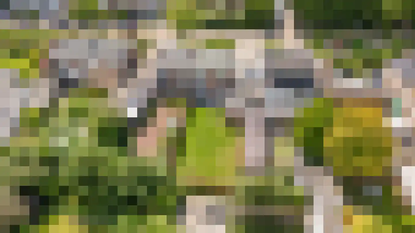 Dirk Boutsstraat 8 Zevenaar thumbnail 37
