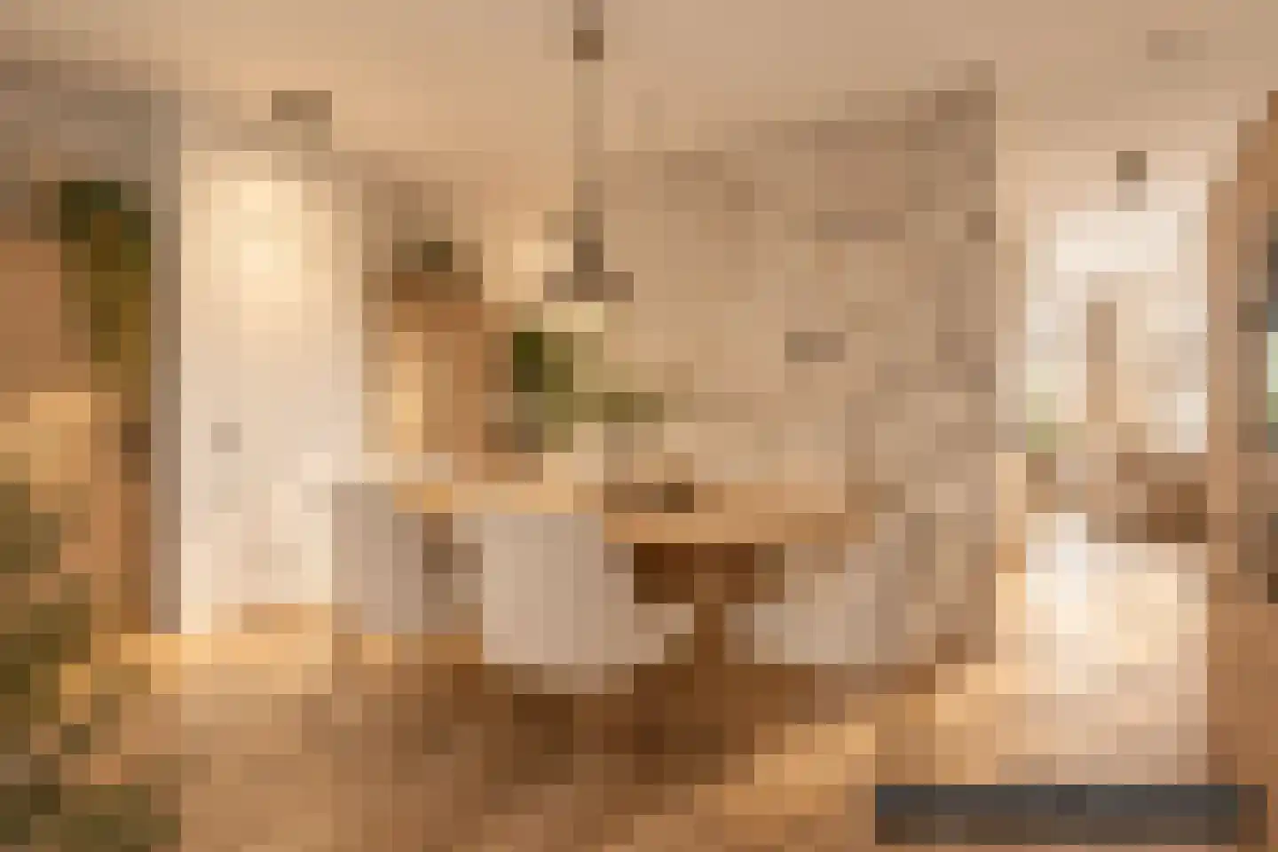 Dirk Breebaartstraat 4 Hoorn thumbnail 12