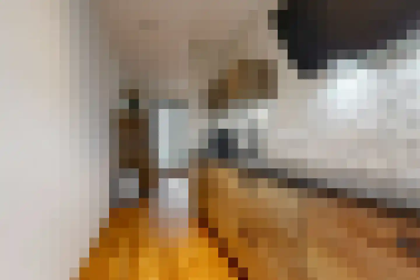 Dirk Breebaartstraat 4 Hoorn thumbnail 15