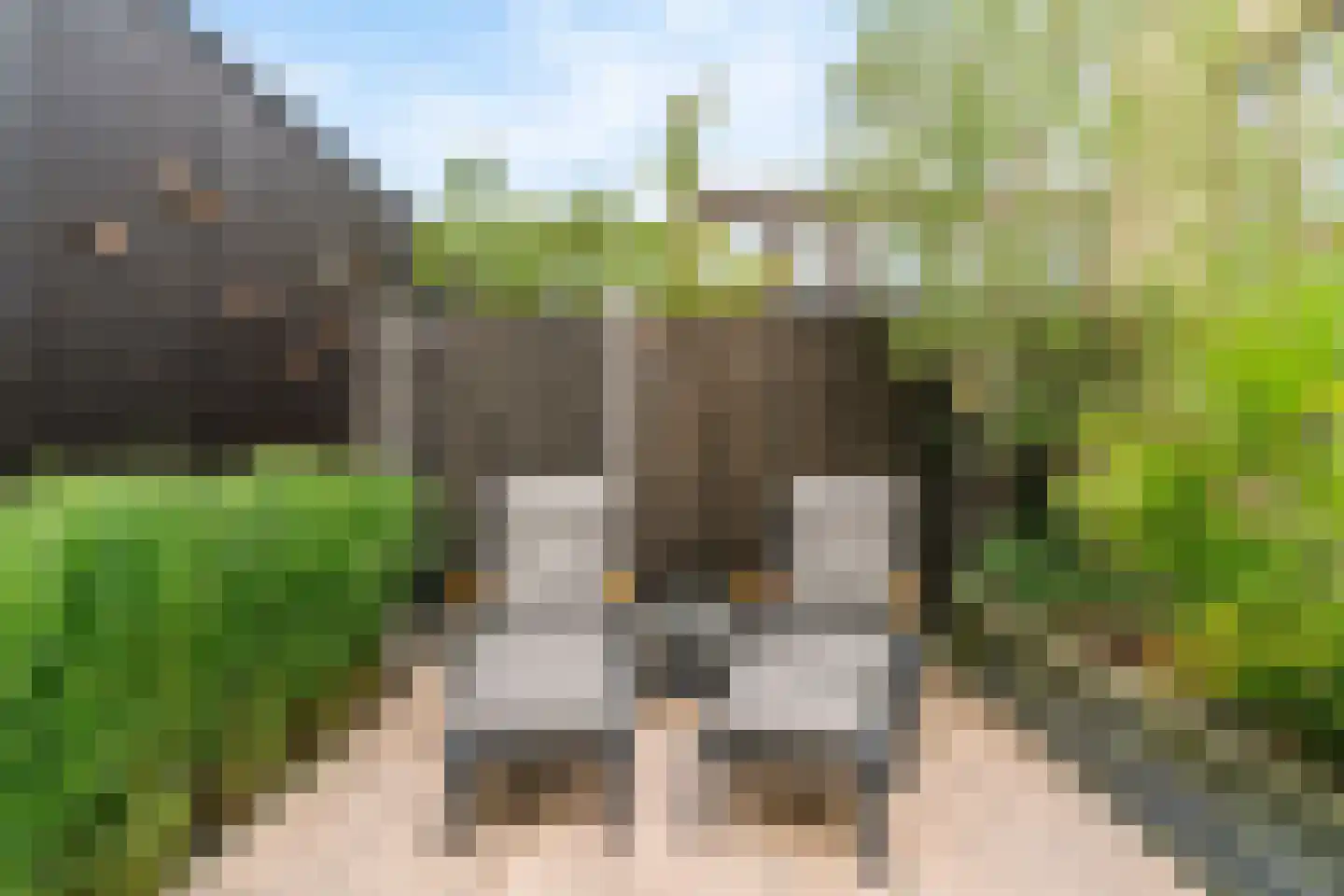 Dirk Breebaartstraat 4 Hoorn thumbnail 43