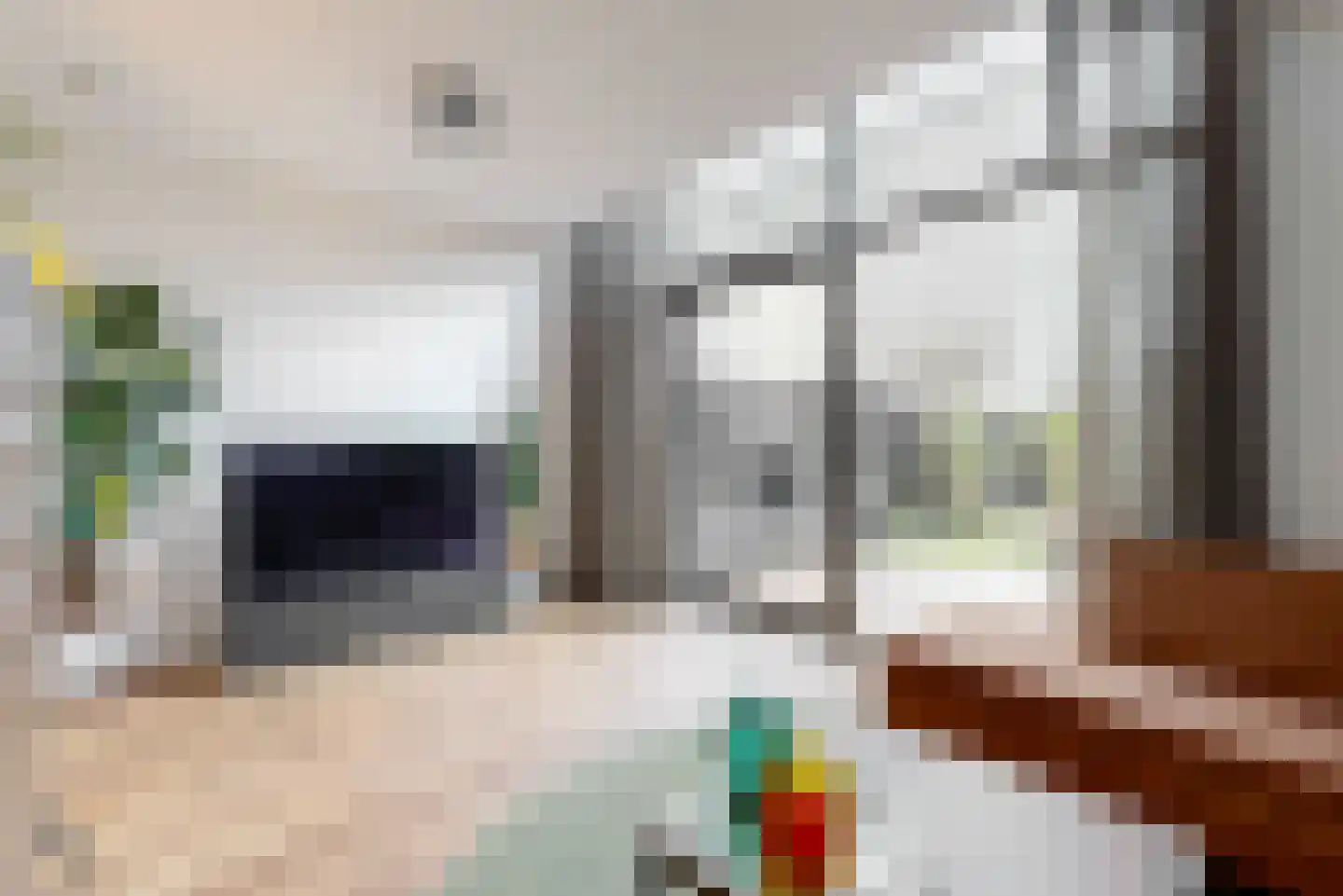 Dirk Breebaartstraat 4 Hoorn thumbnail 8