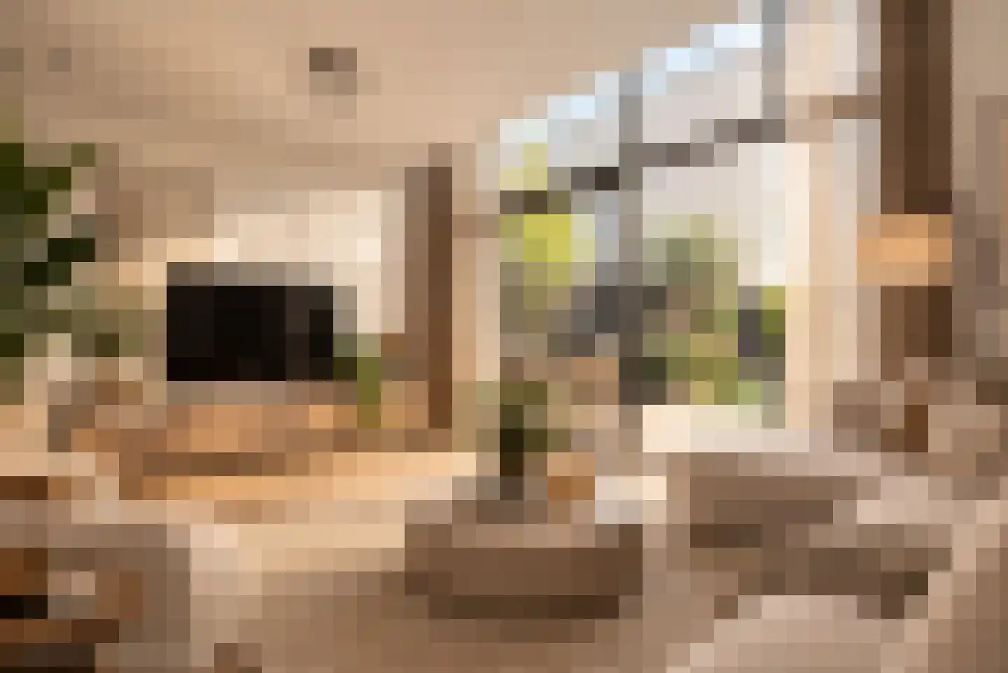 Dirk Breebaartstraat 4 Hoorn thumbnail 8