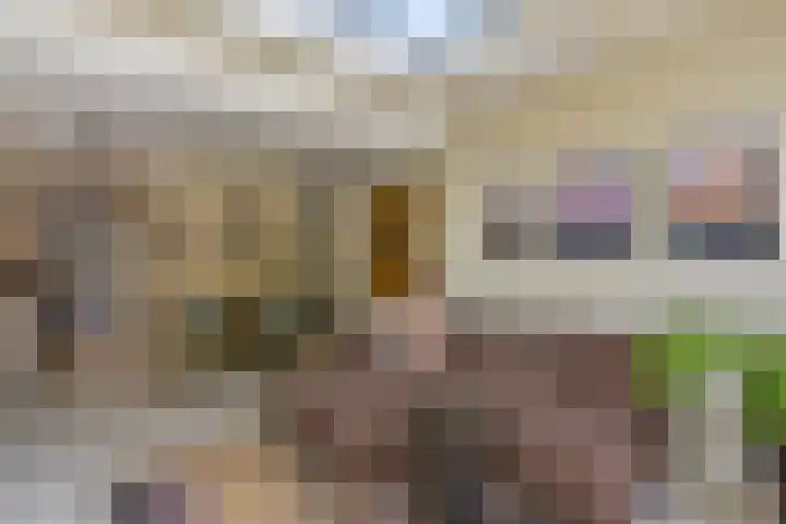Dirk Breebaartstraat 8 Hoorn thumbnail 17
