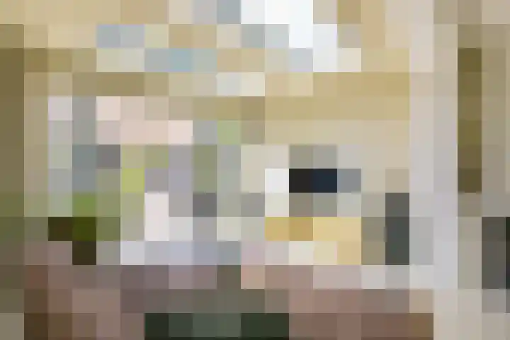 Dirk Breebaartstraat 8 Hoorn thumbnail 20