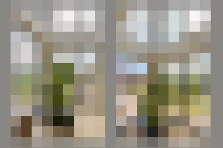 Dirk Breebaartstraat 8 Hoorn thumbnail 23