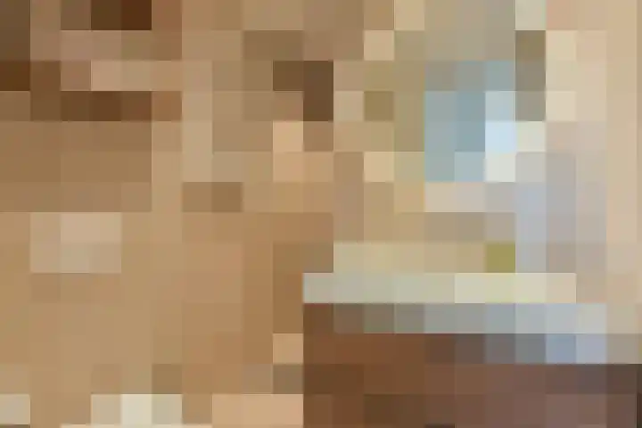 Dirk Breebaartstraat 8 Hoorn thumbnail 38